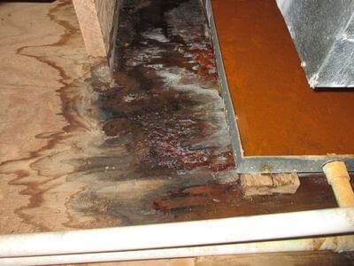 About water damage restoration service - commercial water damage restoration experts in Kansas